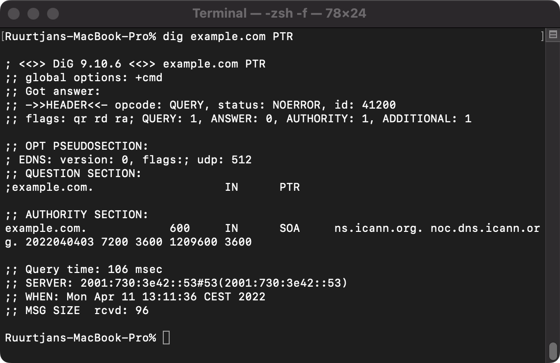 Example output of a PTR lookup query